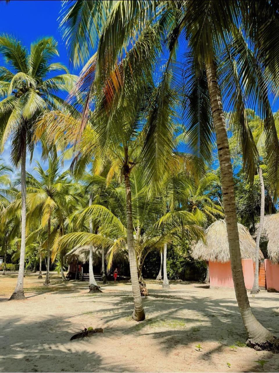 Hotel Estrellas Palomino