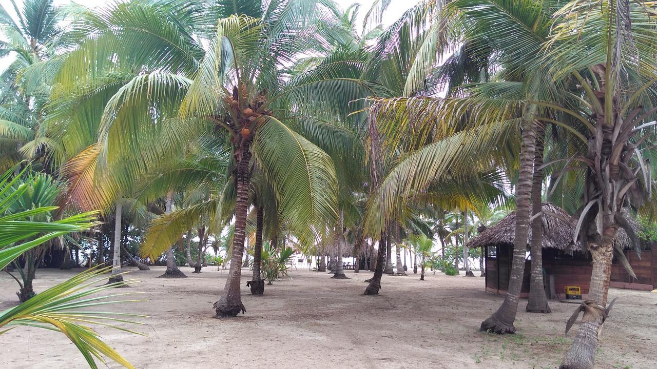 Hotel Estrellas Palomino