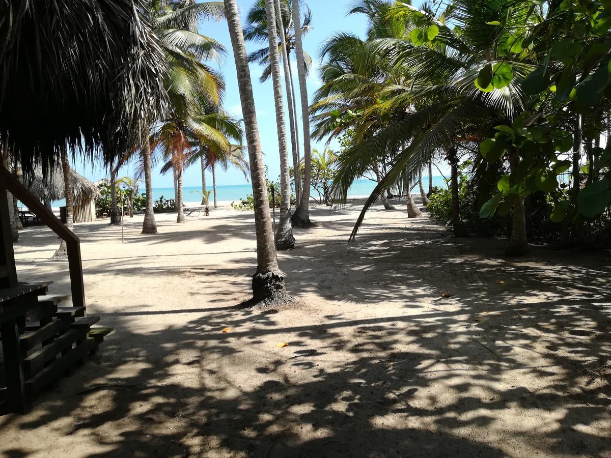 Hotel Estrellas Palomino